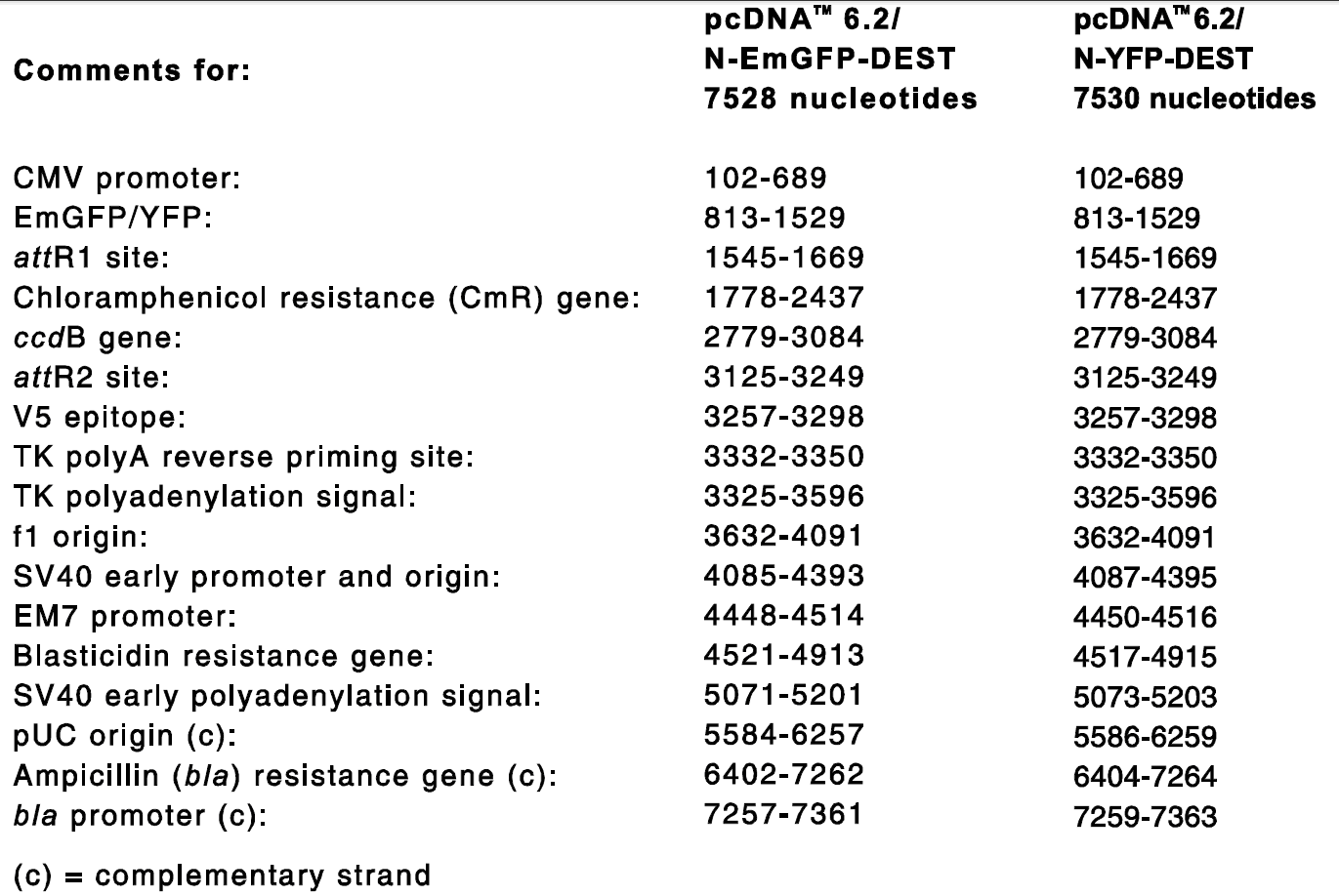 pcDNA6.2-N-EmGFP-DEST 特征位点